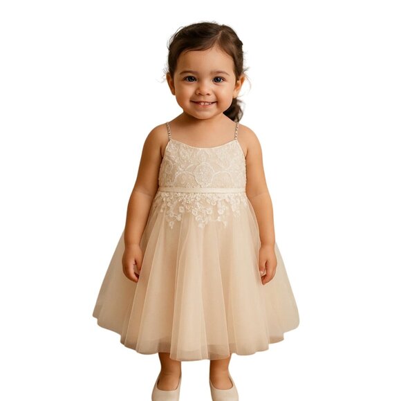 Davids Bridal WG1406 Ivory/Stone Flower Girl Dress Size 4 Embroidered - Picture 1 of 13
